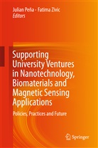 Julia Peña Dopazo, Julian Peña Dopazo, Zivic, Zivic, Fatima Zivic - Supporting University Ventures in Nanotechnology, Biomaterials and Magnetic Sensing Applications