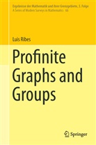 Luis Ribes - Profinite Graphs and Groups