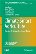 Solomon Asfaw, Giacomo Branca, Leslie Lipper, Nanc McCarthy, Nancy McCarthy, David Zilberman... - Climate Smart Agriculture