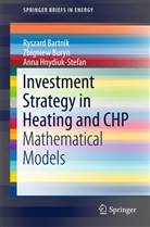 Ryszar Bartnik, Ryszard Bartnik, Zbignie Buryn, Zbigniew Buryn, A Hnydiuk-Stefan, Anna Hnydiuk-Stefan - Investment Strategy in Heating and CHP