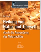 Karl Hecht, Karl (Prof. em Hecht - Heilung von Natur und Tierwelt durch die Anwendung des Naturzeoliths