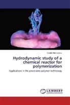 Catalin Marculescu - Hydrodynamic study of a chemical reactor for polymerization