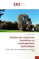 Ousmane Nébié - Gestion de ressources forestières et aménagement hydraulique