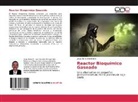 Jorge Abreu Menéndez - Reactor Bioquímico Gaseado