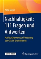 Katj Mayer, Katja Mayer, Julia Taeschner - Nachhaltigkeit: 111 Fragen und Antworten