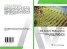 Franziska Bischoff - GIS-basierte Risikoanalyse