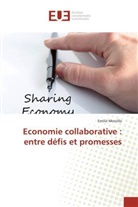 Emilie Morcillo - Economie collaborative : entre défis et promesses