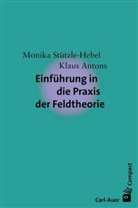 Klaus Antons, Klaus (D Antons, Monika Stützle-Hebel, Monika (Dr. phil. Stützle-Hebel, Monika (Dr. phil.) Stützle-Hebel - Einführung in die Praxis der Feldtheorie