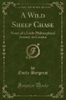 Emile Bergerat - A Wild Sheep Chase