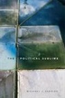 Michael J Shapiro, Michael J. Shapiro - Political Sublime