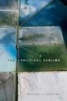 Michael J. Shapiro - Political Sublime