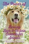 Caroline Thomas - The Power of Bailey, Bach & Verbeia Essences for Animals
