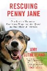 Amy Sutherland, Sutherland Amy - Rescuing Penny Jane