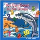 David Brooks - You Can Count at the Ocean