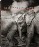 Joachim Schmeisser - Elephants in Heaven
