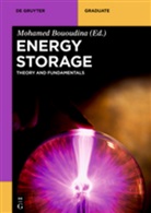 Mohame Bououdina, Mohamed Bououdina - Energy Storage