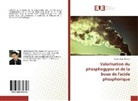Abdelhakim Mefteh - Valorisation du phosphogypse et de la boue de l'acide phosphorique