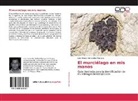 Luis Arturo Hernández Mijangos - El murciélago en mis manos