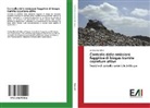 Andrea Barisiello - Controllo delle emissioni fuggitive di biogas tramite coperture attive