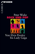 Peter Wicke - Rock und Pop