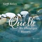 Steffi Baltes - Quelle des lebendigen Wassers