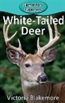 Victoria Blakemore - White-Tailed Deer