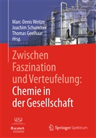 Thomas Geelhaar, Joachi Schummer, Joachim Schummer, Marc-Denis Weitze - Zwischen Faszination und Verteufelung: Chemie in der Gesellschaft
