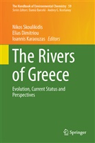 Elia Dimitriou, Elias Dimitriou, Ioannis Karaouzas, Nikos Skoulikidis - The Handbook of Environmental Chemistry - 59: The Rivers of Greece
