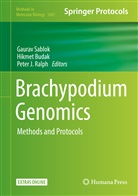Hikme Budak, Hikmet Budak, Peter J Ralph, Peter Ralph, Peter J. Ralph, Gaurav Sablok - Brachypodium Genomics