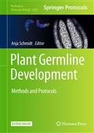 Anj Schmidt, Anja Schmidt - Plant Germline Development