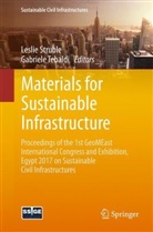 Lesli Struble, Leslie Struble, Tebaldi, Tebaldi, Gabriele Tebaldi - Materials for Sustainable Infrastructure