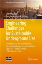 Sheri Agaiby, Sherif Agaiby, Grasso, Grasso, Piergiorgio Grasso - Engineering Challenges for Sustainable Underground Use