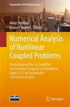 Rashed, Rashed, Youssef Rashed, Han Shehata, Hany Shehata - Numerical Analysis of Nonlinear Coupled Problems