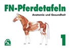 FN-Pferdetafeln. Mappe 1. Anatomie und Gesundheit