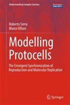 Robert Serra, Roberto Serra, Marco Villani - Modelling Protocells