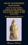 Sagas legendarias islandesas. Saga de Odd Flechas ; Relato de Toki Tókason ; Saga de Hálfdan ahijado de Brana ; Saga de Illugi ahijado de Gríd ; Genealogías