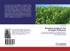 Fantaye Belay - Breeding Sorghum for Drought Tolerance