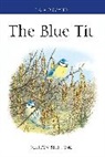 Dr Martyn Stenning, Martyn Stenning - The Blue Tit