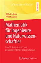 Peter Knabner, Peter (Prof. Dr Knabner, Wilhelm Merz, Wilhelm (Prof. Dr. Merz, Wilhelm (Prof. Dr.) Merz - Mathematik für Ingenieure und Naturwissenschaftler