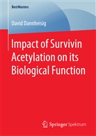David Dannheisig - Impact of Survivin Acetylation on its Biological Function