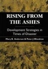 Mary Anderson, Mary B. Anderson, Peter J Woodrow, Peter J. Woodrow - Rising from the Ashes