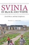 David Z. Scheffel, David Scheffel, David Z Scheffel, David Z. Scheffel - Svinia in Black & White
