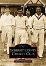 Tony Stedall, Tony Stedall - Somerset County Cricket Club (Images of Sport)
