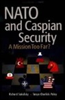 Tanya Charlick-Paley, Richard Sokolsky - NATO and Caspian Security