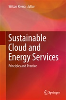 Wilso Rivera, Wilson Rivera - Sustainable Cloud and Energy Services
