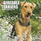 Willow Creek Press - Just Airedale Terriers 2018 Wall Calendar (Dog Breed Calenda