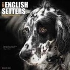 Willow Creek Press - Just English Setters 2018 Wall Calendar (Dog Breed Calendar)