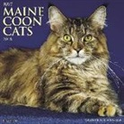 Willow Creek Press - Just Maine Coon Cats 2018 Wall Calendar