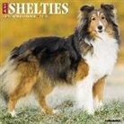 Willow Creek Press - Just Shelties 2018 Wall Calendar (Dog Breed Calendar)