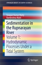 Swapa Kumar Maity, Swapan Kumar Maity, Ramkrishna Maiti - Sedimentation in the Rupnarayan River